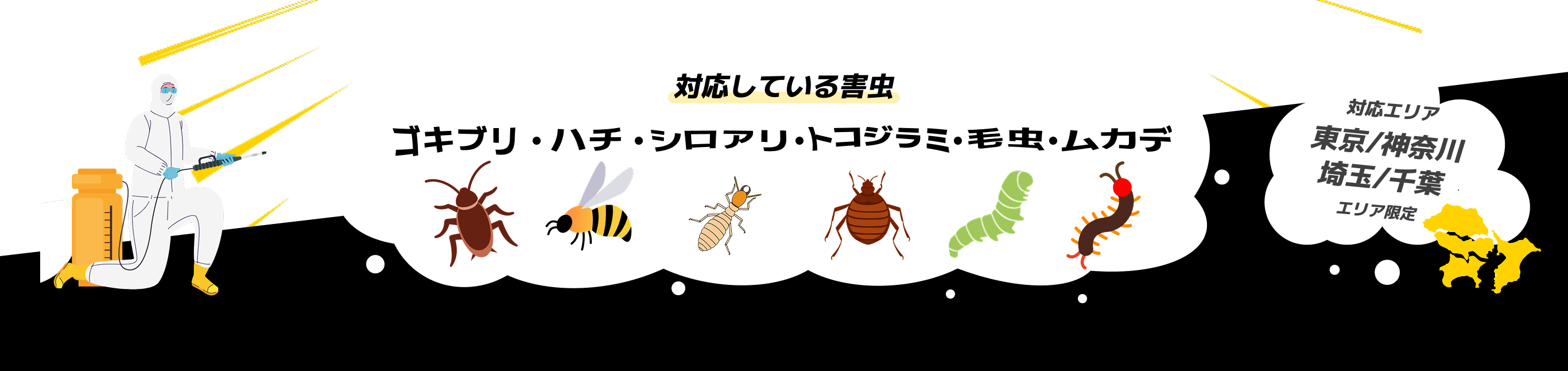 対応している害虫の紹介