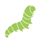 毛虫の画像