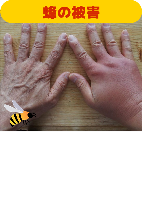 実例の写真2