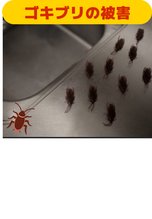 実例の写真4